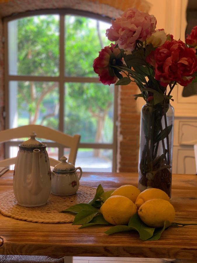 Il Giardino Dei Limoni Bed & Breakfast ชูเวเรโต ภายนอก รูปภาพ